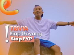 Fun Fact 'Stecu Stecu', Digoyang Selebritis Bikin Faris Adam Terkenal