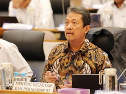Konservasi Laut RI Butuh Duit Rp 3,2 Triliun/Tahun