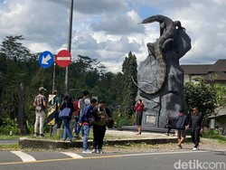 Belum Benar-benar Selesai tapi Sudah Viral, Patung Biawak Wonosobo Diburu Wisatawan