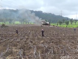Geram Petani Teh Pangalengan Saat Lahan Mendadak Jadi Kebun Sayuran