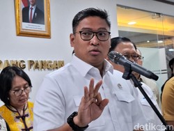 Wamentan Respons Pemda Ogah Usulkan Lahan buat Pertanian
