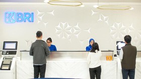 Hari Ini, Pemegang Saham BBRI Panen Dividen Final Rp31,4 Triliun
