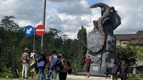 Patung Biawak Viral di Wonosobo Dikunjungi 2 Ribu Orang dalam Sehari