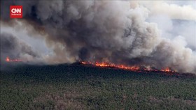 VIDEO: Penampakan Kebakaran Hutan 3.200 Hektare di New Jersey AS
