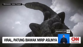 VIDEO: Viral Patung Biawak Mirip Aslinya