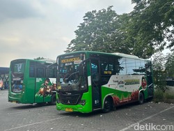 Siap-siap Warga Malang Raya, 15 Bus Trans Jatim Segera Beroperasi!