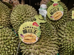 Negara ASEAN Berebut Pasar Durian di China