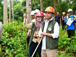 Menhut Dorong Revitalisasi Industri Kehutanan Berkelanjutan