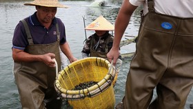 FOTO: Nestapa Desa Nelayan China Terancam Perang Dangang AS
