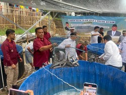 1 Ton Ikan Lele Dipanen dari Lapas Sukamiskin