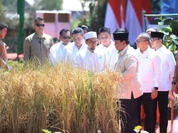 Herman Deru Optimistis Sumsel Jadi Penunjang Pangan Nasional