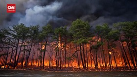 VIDEO: Penampakan Horor Kebakaran Hutan Terbesar New Jersey