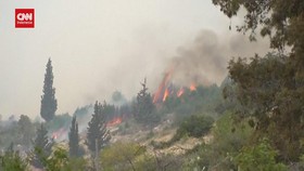 VIDEO: Kebakaran Hutan Landa Israel, Meluas ke Perbukitan Yerusalem