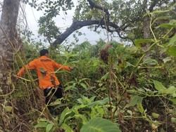 Guru SMP di Buton Utara Hilang Misterius Selama 5 Hari, Tim SAR Dikerahkan