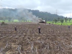 Alih Fungsi Lahan Kebun Teh di Pangalengan Ancam Habitat Burung