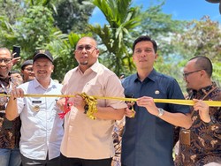 Andre Rosiade Resmikan BTS Telkomsel di Desa Batu Tanjung
