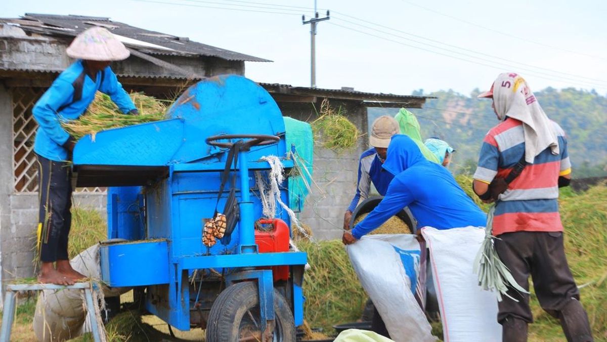 Bulog Jatim Catat Rekor Serapan Tembus 300 Ribu Ton Setara Beras