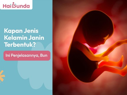Kapan Jenis Kelamin Janin Terbentuk? Ini Penjelasannya, Bun