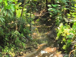 Warga Cirebon Rela Turun ke Sungai demi Tumpahan Minyak