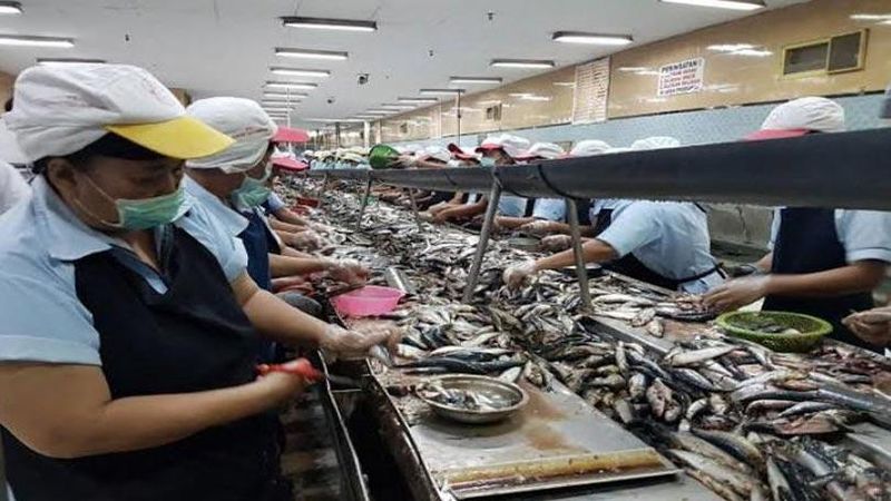Pemerintah Kota Bontang terus mendorong langkah hilirisasi sektor perikanan sebagai upaya diversifikasi ekonomi sekaligus meningkatkan nilai tambah hasil laut.