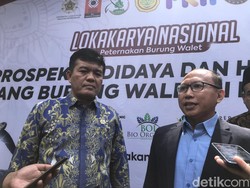 Badan Karantina Bicara Hilirisasi Sarang Walet: Bisa Ekspor ke Seluruh Dunia