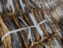 Melihat Proses Produksi Pindang Salem di Rembang