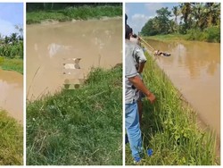 Mayat Mr X Terapung di Irigasi Hebohkan Warga Lampung Tengah