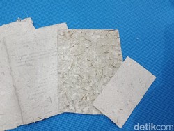 Komunitas Peduli Sungai Surabaya Daur Ulang Kertas dari Eceng Gondok