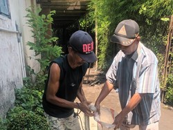 Mak Jegagik! Warga Kalasan Sleman Temukan Sanca 3 Meter di Kolam Ikannya
