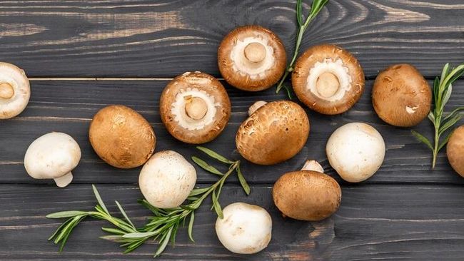 Selain dari suplemen, vitamin D3 juga bisa diperoleh dari makanan. Berikut rekomendasinya.