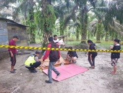 ODGJ Berkapak Ngamuk Bacok Lansia Warga Sumsel hingga Tewas