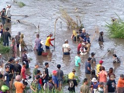 Video: Momen Warga Blitar Berburu Ikan Mabuk di Sungai Brantas