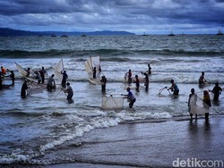 Tradisi Berburu Impun yang Jadi Berkah Warga Citepus Sukabumi