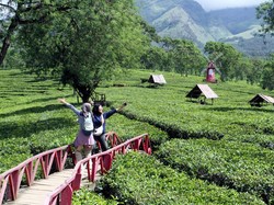 5 Destinasi Wajib di Malang Raya untuk Akhir Pekan