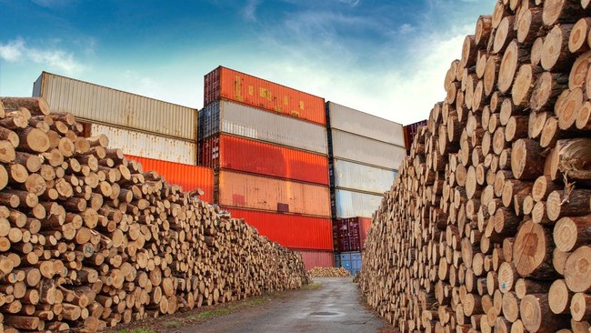 Indonesia Peringkat 30 Produsen Kayu Gergajian Dunia — Produksi 0,5% Global