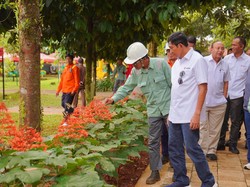 Jaga Kelestarian, Vale Indonesia Sudah Reklamasi 3.791 Ha Lahan Tambang