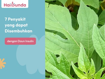 7 Penyakit yang dapat Disembuhkan dengan Daun Insulin