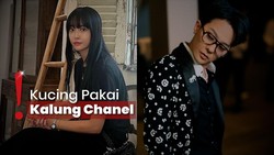 G-Dragon Dicurigai Pacari Lee Joo Yeon Gegara Tembok-Perabotan Sama