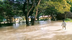 Kemensos Salurkan Bantuan bagi Korban Banjir dan Longsor di Wamena