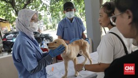 FOTO: Melihat Kegiatan Posyandu Hewan Peliharaan di Bekasi