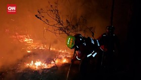 VIDEO: Kebakaran Hutan di Daegu Korsel, 1.200 Penduduk Dievakuasi