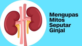 INFOGRAFIS: Mengupas Mitos Seputar Ginjal
