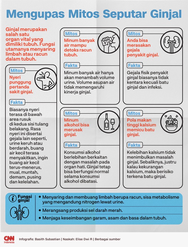 Ginjal merupakan salah satu organ vital yang dimiliki tubuh. Fungsi utamanya menyaring limbah atau racun dalam tubuh.