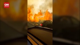 VIDEO: Kebakaran Hebat Ancam Yerusalem, Akses Tol ke Tel Aviv Terputus