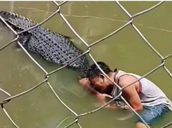 Nekat Selfie, Turis Diserang Buaya Asli yang Dikira Patung
