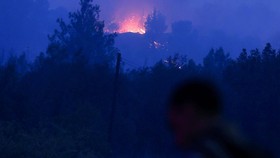 Dihantam Kebakaran, Israel Minta Bantuan Belasan Negara
