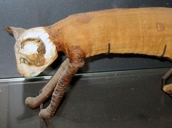 Kucing Modern Disebut Berasal dari Ritual Mesir Kuno