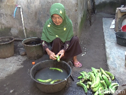 Haru Nenek Penjual Keripik Pisang Lumajang Naik Haji di Usia 95 Tahun