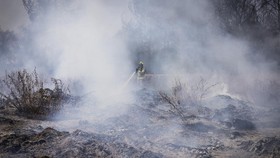 FOTO: Israel Dikepung Kebakaran Hutan, Damkar Berjibaku Padamkan Api