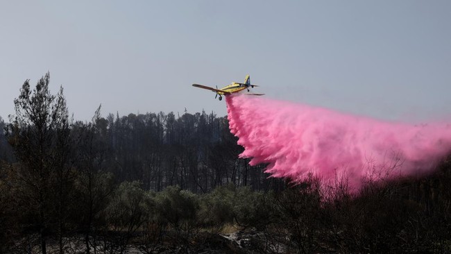 FOTO: Israel Dikepung Kebakaran Hutan, Damkar Berjibaku Padamkan Api